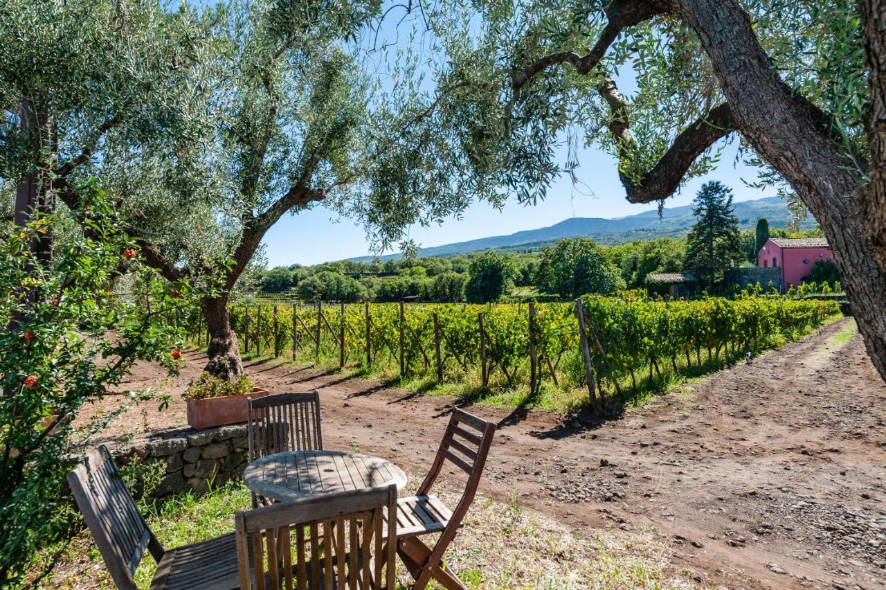 Terrazze Dell'Etna - Country Rooms And Apartments Randazzo Exterior foto