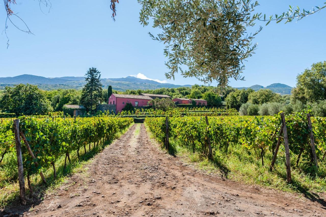 Terrazze Dell'Etna - Country Rooms And Apartments Randazzo Exterior foto